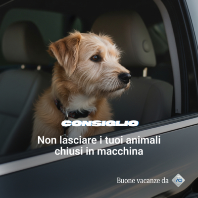 Buon-viaggio-consiglio-11-400x400